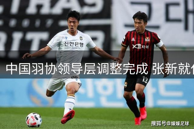 中国羽协领导层调整完成 张新就任主席职务